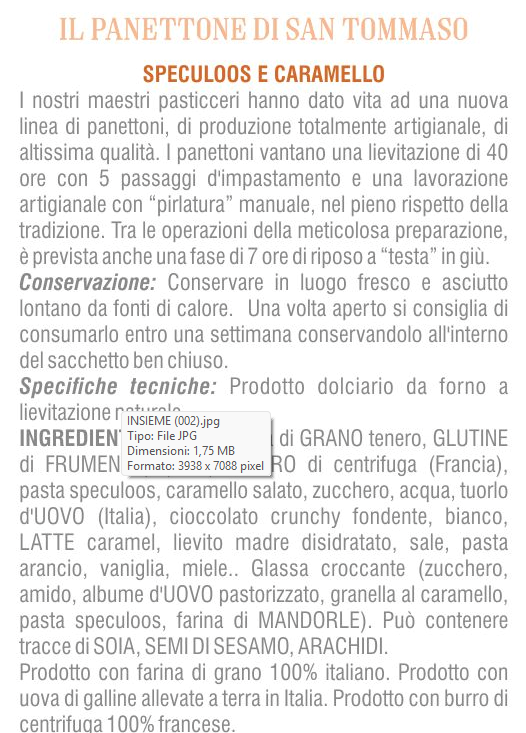 Panettone artigianale “Speculoos e Caramello”